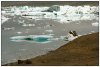 6/islande skatfatell iceberg 29 (Small).jpg